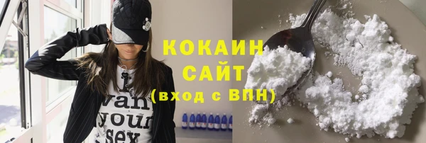 тгк Абинск