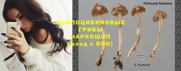 прущие крисы Покровск